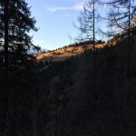 Creusen